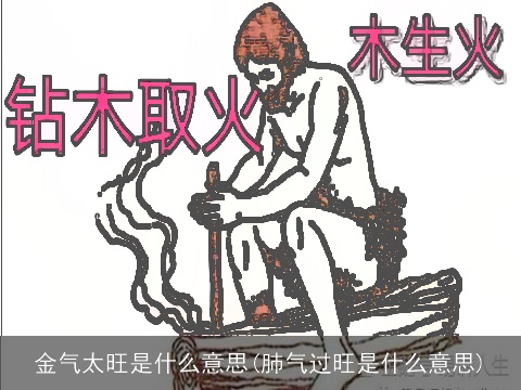 金气太旺是什么意思(肺气过旺是什么意思)