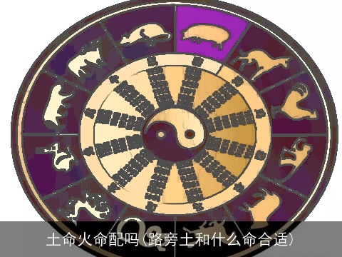 土命火命配吗(路旁土和什么命合适)