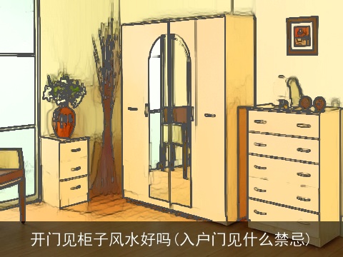 开门见柜子风水好吗(入户门见什么禁忌)