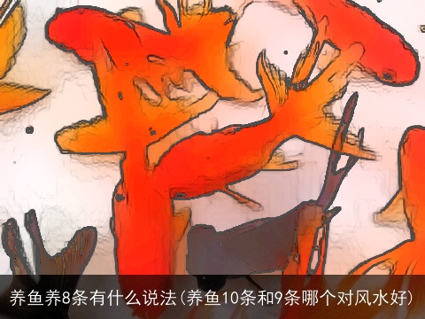 养鱼养8条有什么说法(养鱼10条和9条哪个对风水好)