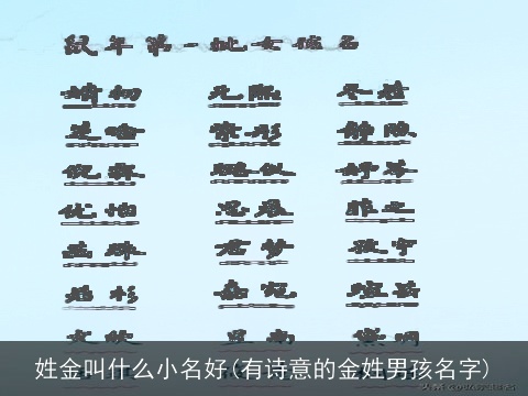 姓金叫什么小名好(有诗意的金姓男孩名字)