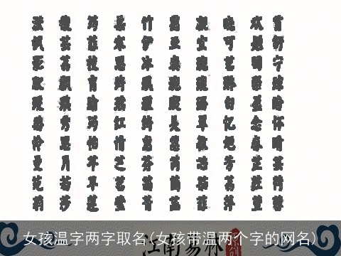 女孩温字两字取名(女孩带温两个字的网名)