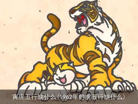 寅虎五行缺什么(1962年的虎五行缺什么)