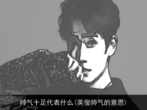 帅气十足代表什么(英俊帅气的意思)