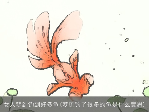 女人梦到钓到好多鱼(梦见钓了很多的鱼是什么意思)