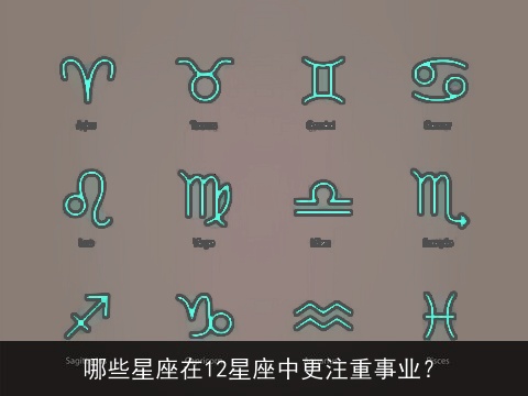 哪些星座在12星座中更注重事业？