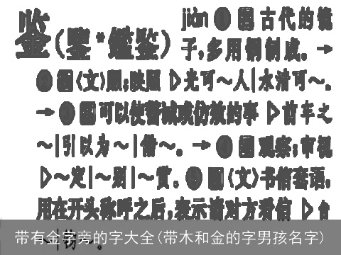 带有金字旁的字大全(带木和金的字男孩名字)