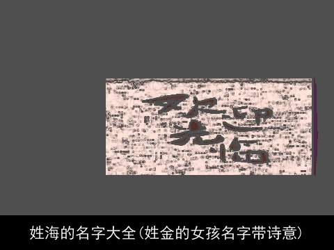 姓海的名字大全(姓金的女孩名字带诗意)