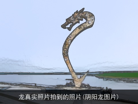 龙真实照片拍到的照片(阴阳龙图片)