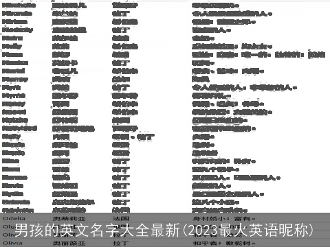 男孩的英文名字大全最新(2023最火英语昵称)