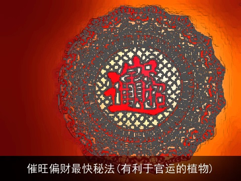 催旺偏财最快秘法(有利于官运的植物)
