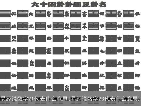 易经说数字21代表什么意思(易经说数字23代表什么意思)
