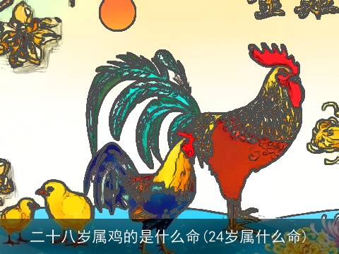 二十八岁属鸡的是什么命(24岁属什么命)