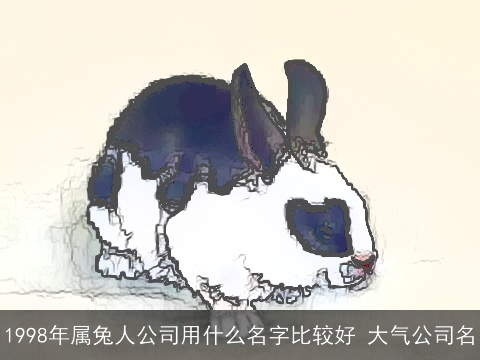1998年属兔人公司用什么名字比较好 大气公司名