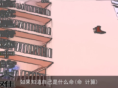如果知道自己是什么命(命 计算)