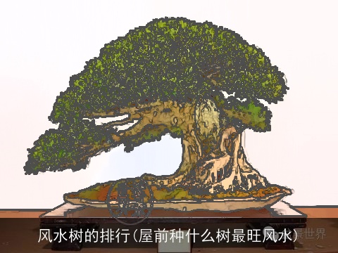 风水树的排行(屋前种什么树最旺风水)