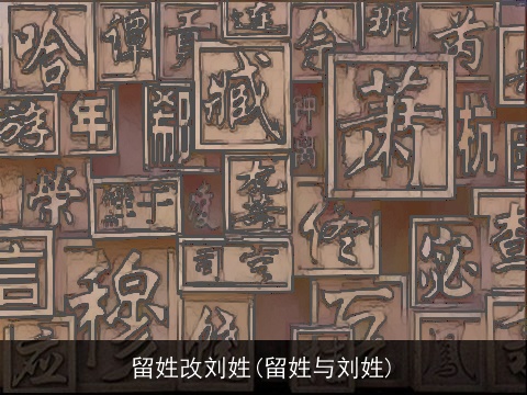 留姓改刘姓(留姓与刘姓)