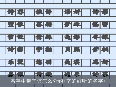 名字中带辛该怎么介绍(辛的好听的名字)