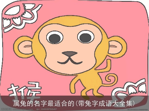 属兔的名字最适合的(带兔字成语大全集)