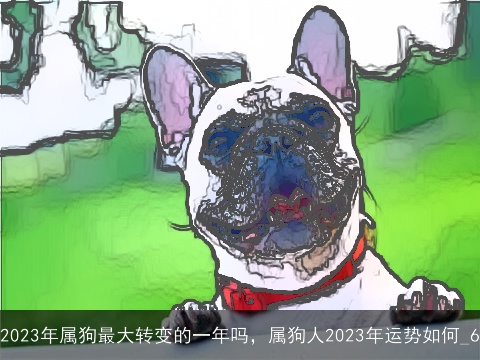 2023年属狗最大转变的一年吗，属狗人2023年运势如何_6