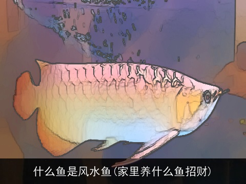什么鱼是风水鱼(家里养什么鱼招财)