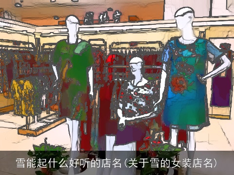 雪能起什么好听的店名(关于雪的女装店名)