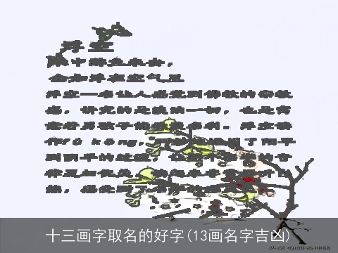 十三画字取名的好字(13画名字吉凶)