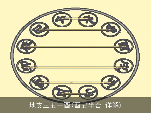 地支三丑一酉(酉丑半合 详解)