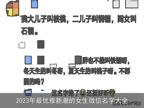 2023年最优雅新潮的女生微信名字大全