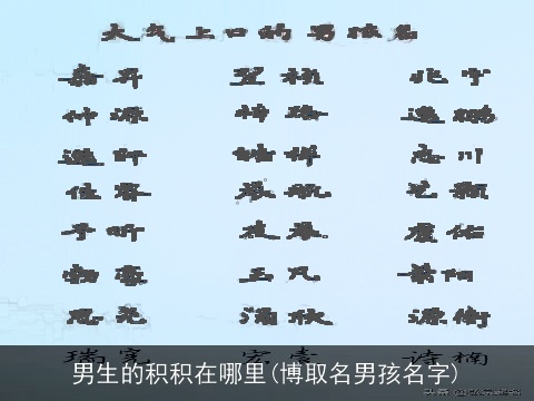男生的积积在哪里(博取名男孩名字)
