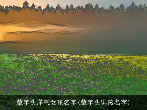 草字头洋气女孩名字(草字头男孩名字)