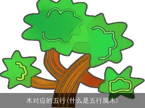 木对应的五行(什么是五行属木)