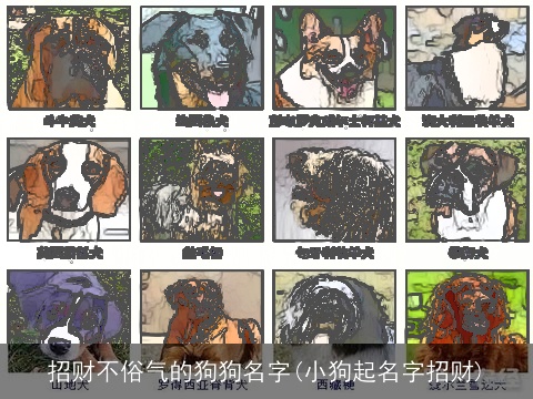 招财不俗气的狗狗名字(小狗起名字招财)