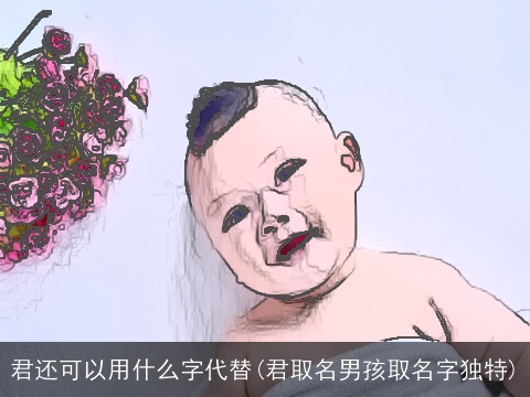 君还可以用什么字代替(君取名男孩取名字独特)