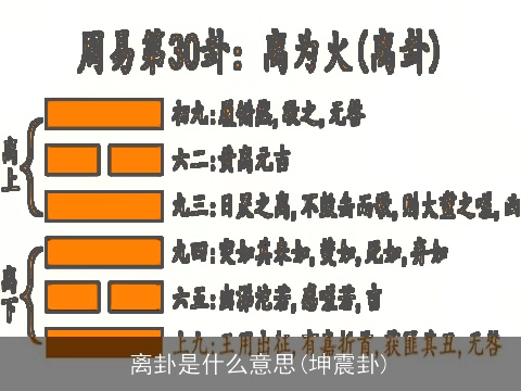 离卦是什么意思(坤震卦)