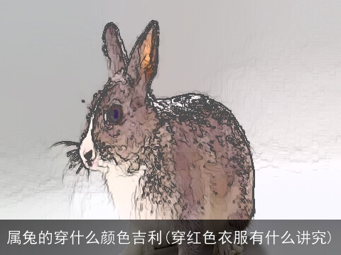 属兔的穿什么颜色吉利(穿红色衣服有什么讲究)