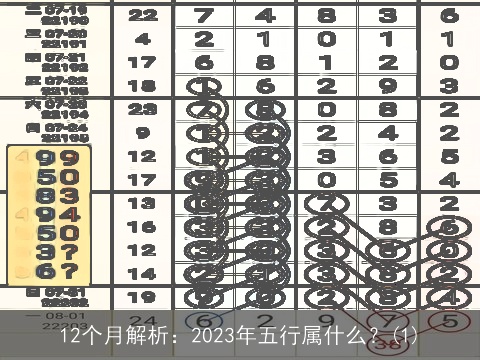 12个月解析：2023年五行属什么？(1)