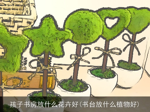 孩子书房放什么花卉好(书台放什么植物好)