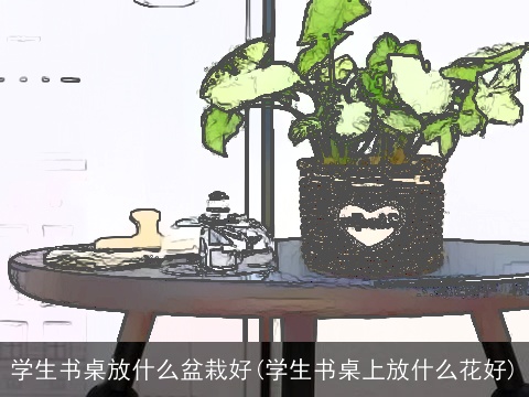 学生书桌放什么盆栽好(学生书桌上放什么花好)