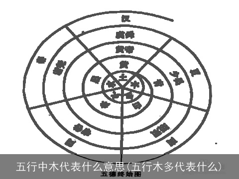 五行中木代表什么意思(五行木多代表什么)