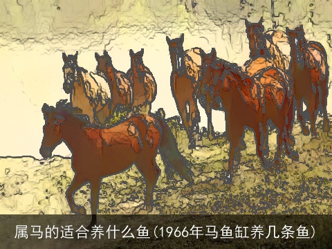 属马的适合养什么鱼(1966年马鱼缸养几条鱼)