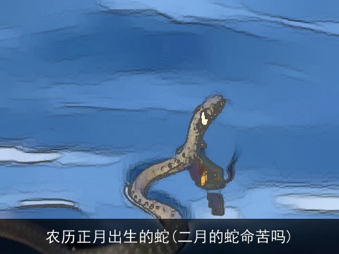 农历正月出生的蛇(二月的蛇命苦吗)