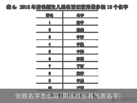 张姓名字怎么取(男孩姓张有气质名字)