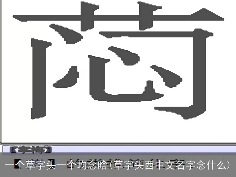 一个草字头一个均念啥(草字头西中文名字念什么)