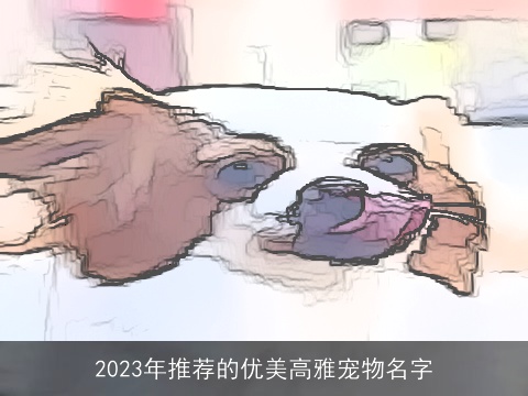 2023年推荐的优美高雅宠物名字