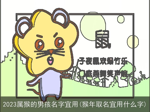 2023属龙的男孩名字宜用(龙年取名宜用什么字)