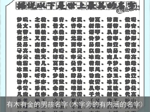 有木有金的男孩名字(木字旁的有内涵的名字)