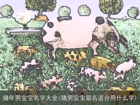 猪年男宝宝名字大全(猪男宝宝取名适合用什么字)