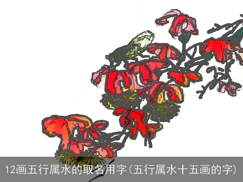 12画五行属水的取名用字(五行属水十五画的字)