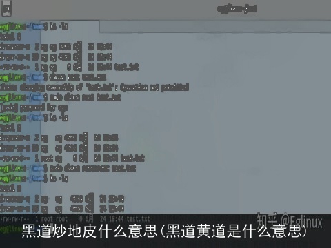 黑道炒地皮什么意思(黑道黄道是什么意思)